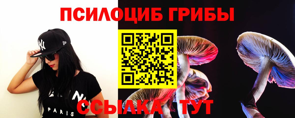 Мытищи  Псилоцибиновые грибы MAGIC MUSHROOMS  Вход с VPN 